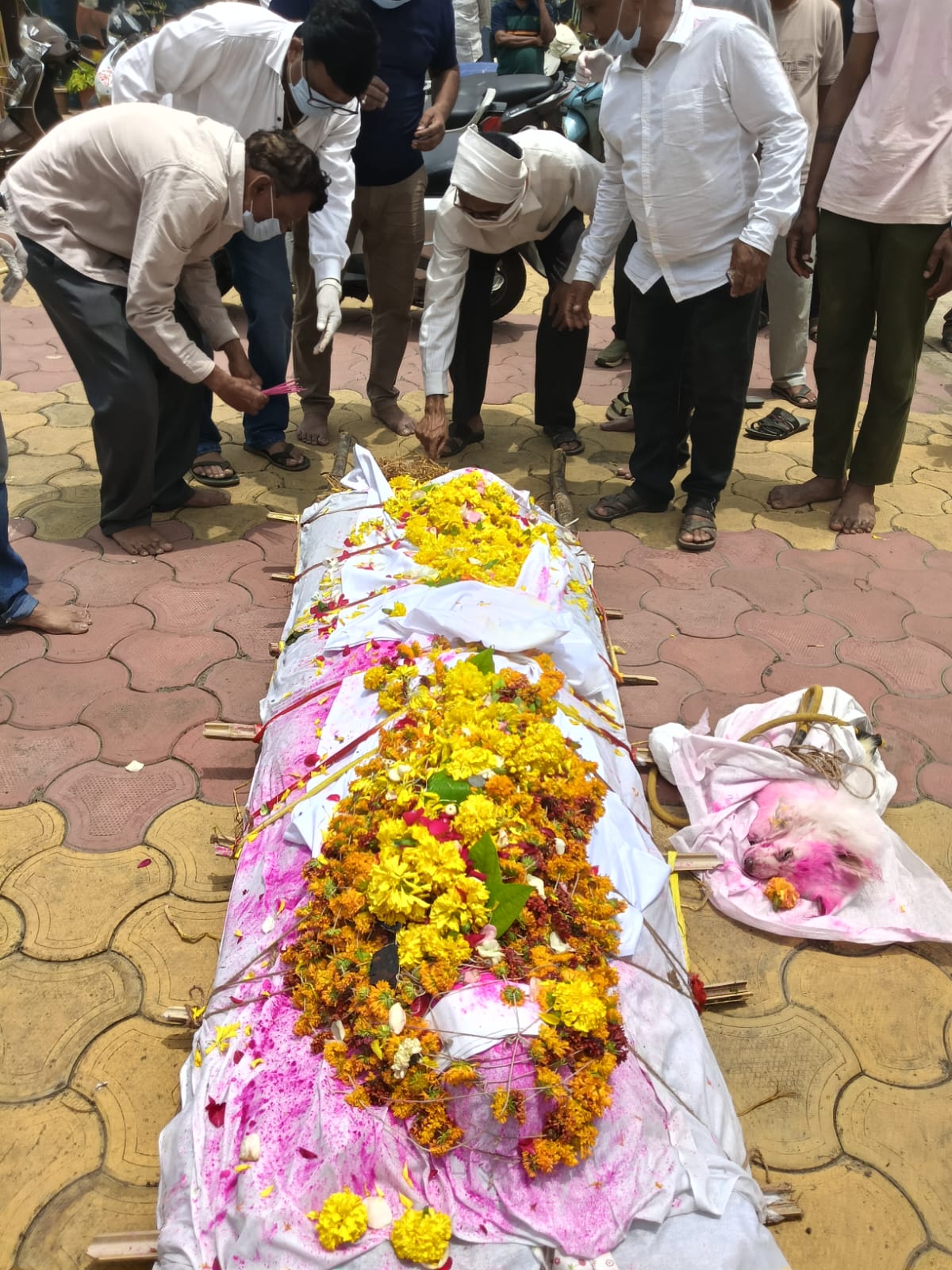 naidunia_image